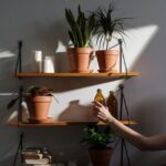 Shelf Installation